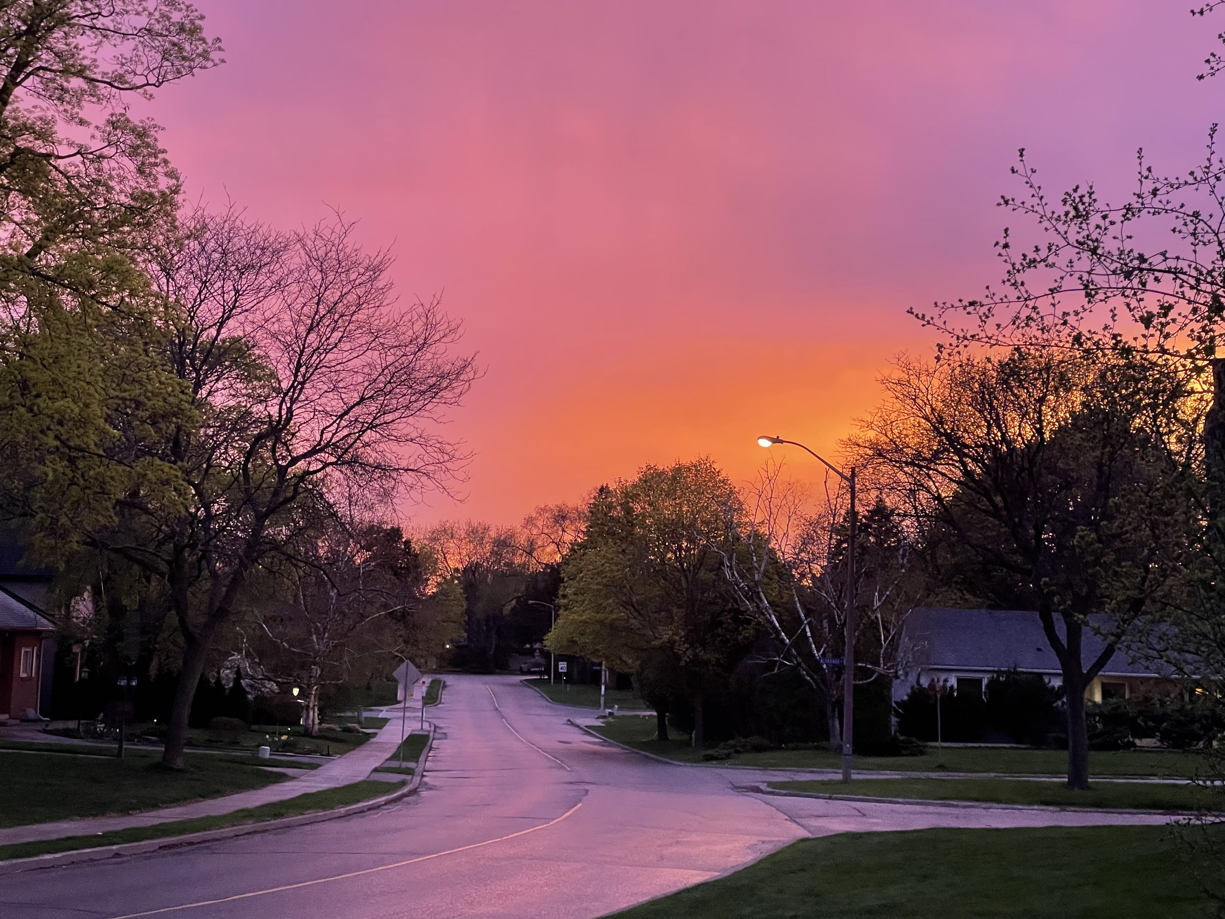  i took this picture